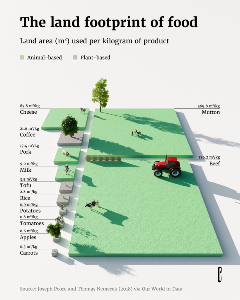 Land footprint of food