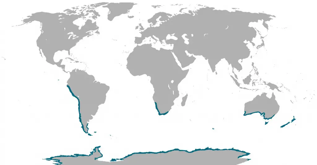 Where penguins are found naturally in the world?