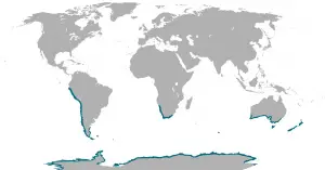 Penguin habitat distribution - Vivid Maps