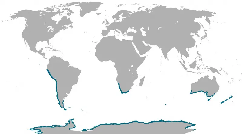 Where penguins are found naturally in the world