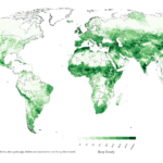 Sheep density mapped