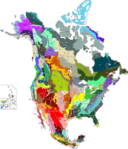 Terrestrial Ecoregions of North America - Vivid Maps