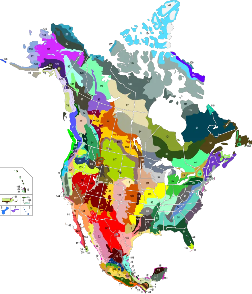 Ecoregions of North America