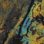 Educational Attainment in America Educational Attainment in New York CIty
