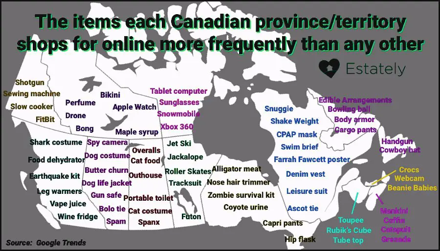 the-items-each-canadian-province-shops-for-online-more-frequently-than