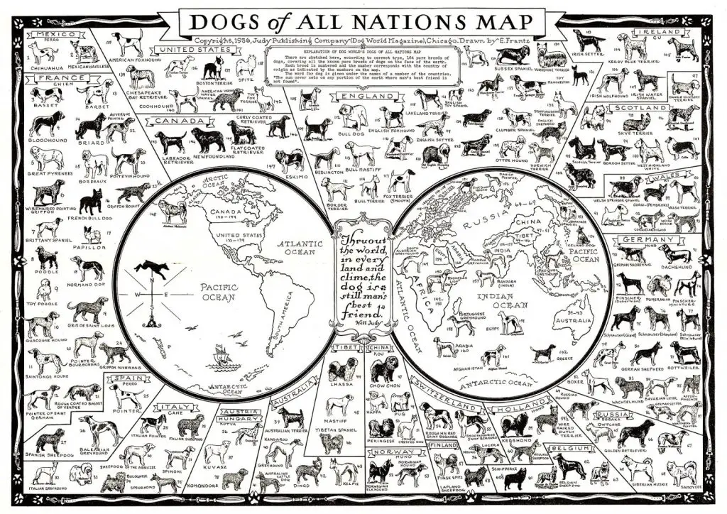 Dogs of all nations map