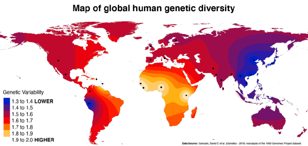Human Genetic Diversity World Map