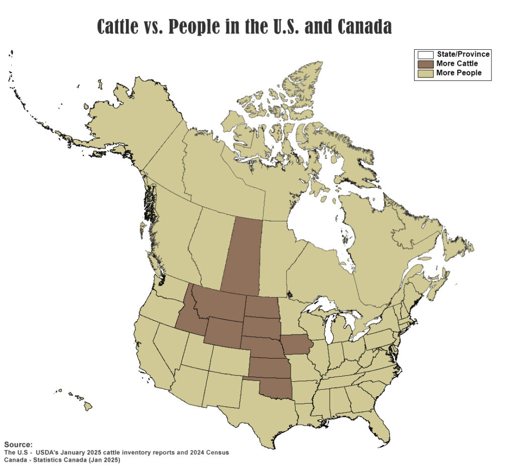 Cattle vs People in Canada and the United States