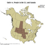 Cattle vs People in Canada and the United States