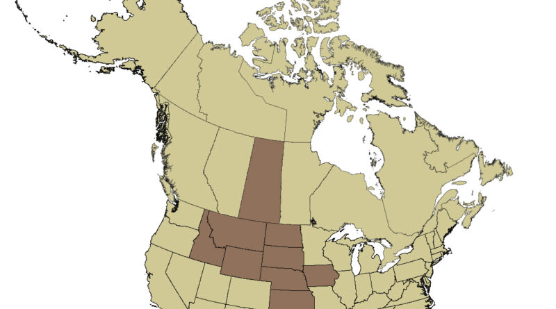 Cattle vs People in Canada and the United States