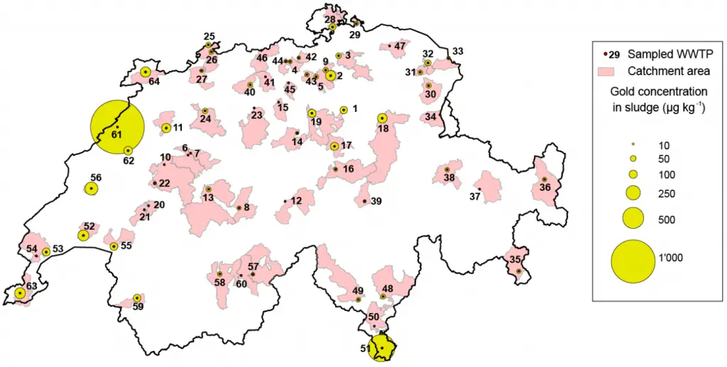 Gold concentration in the Swiss sludge