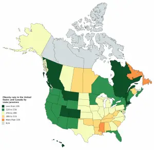 Obesity rate in the U.S. and Canada by state and province - Vivid Maps