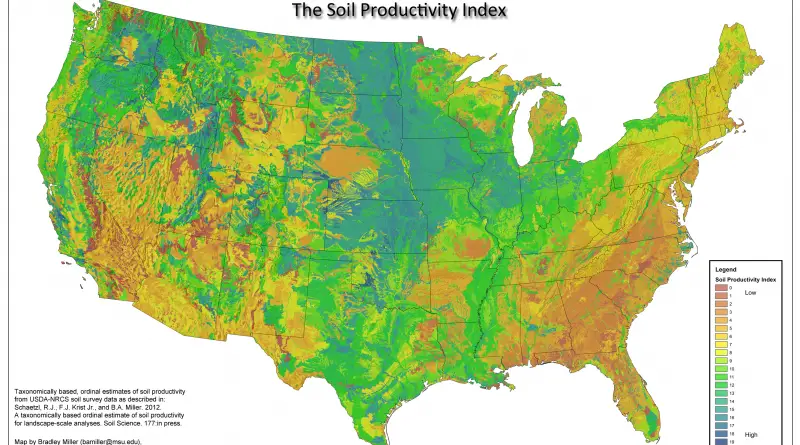 Environment Maps Vivid Maps 5559