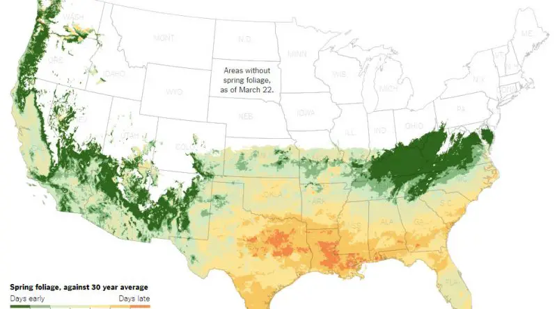 Animated map: Average first leaf appearance