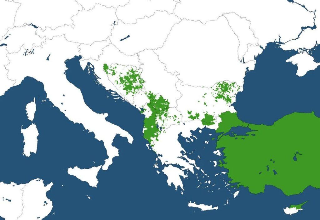 Muslim Majority Regions In The Balkans Mapped