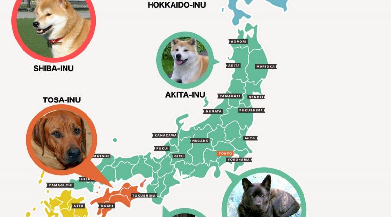 Japanese dogs