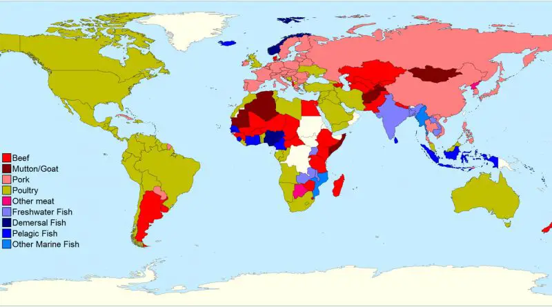 Most consumed type of meat or fish by country