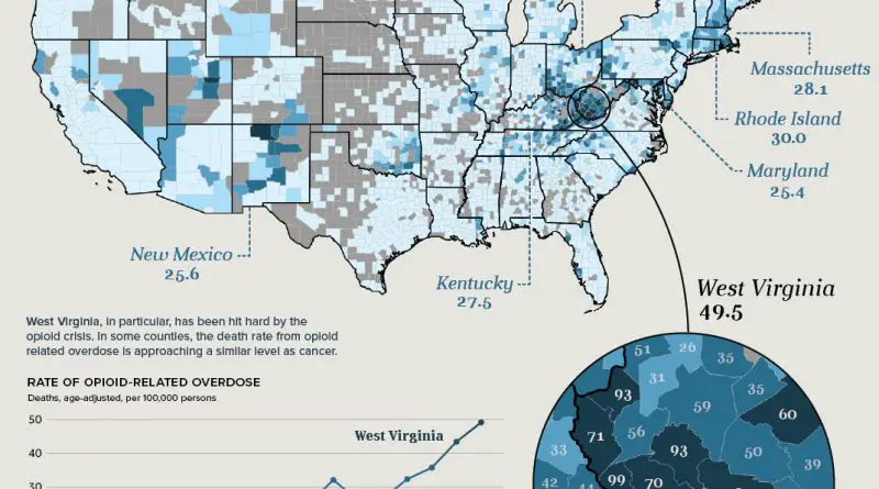 Opioid overdose deaths in the US