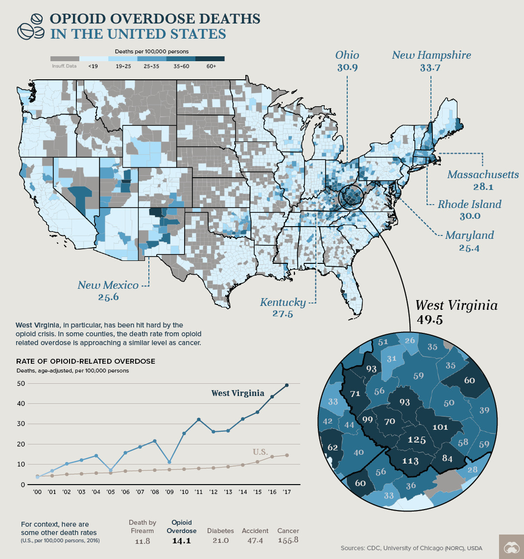 Opioid overdose deaths in the US