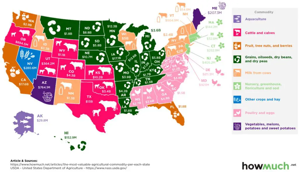 Mapping the Most Valuable Agricultural Commodity in Each U.S. State