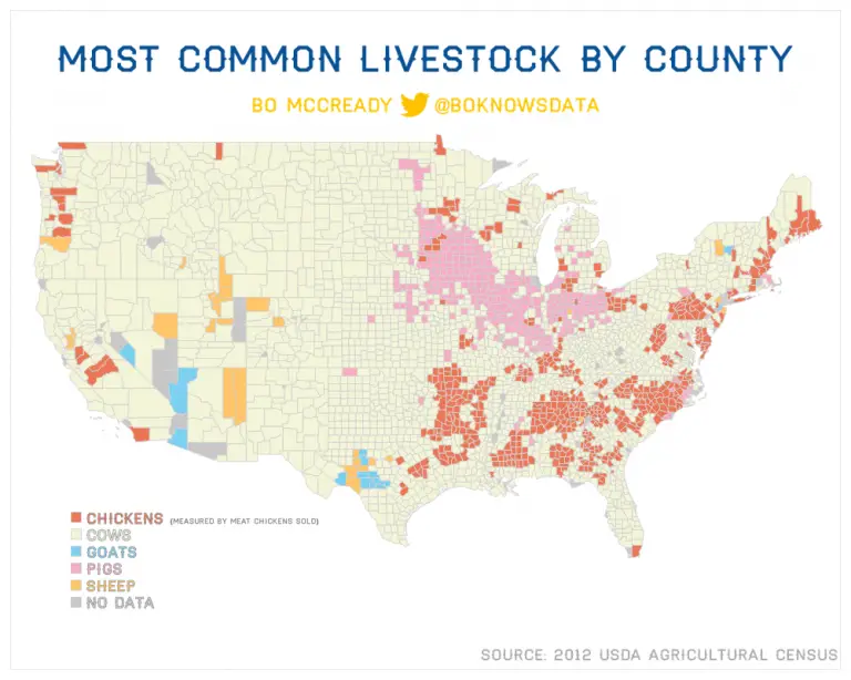 Most Common Livestock in the United States Vivid Maps