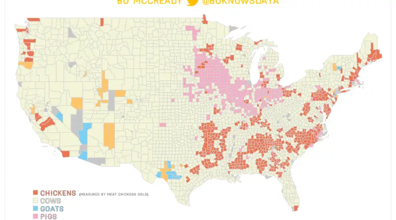 livestock in the U.S.