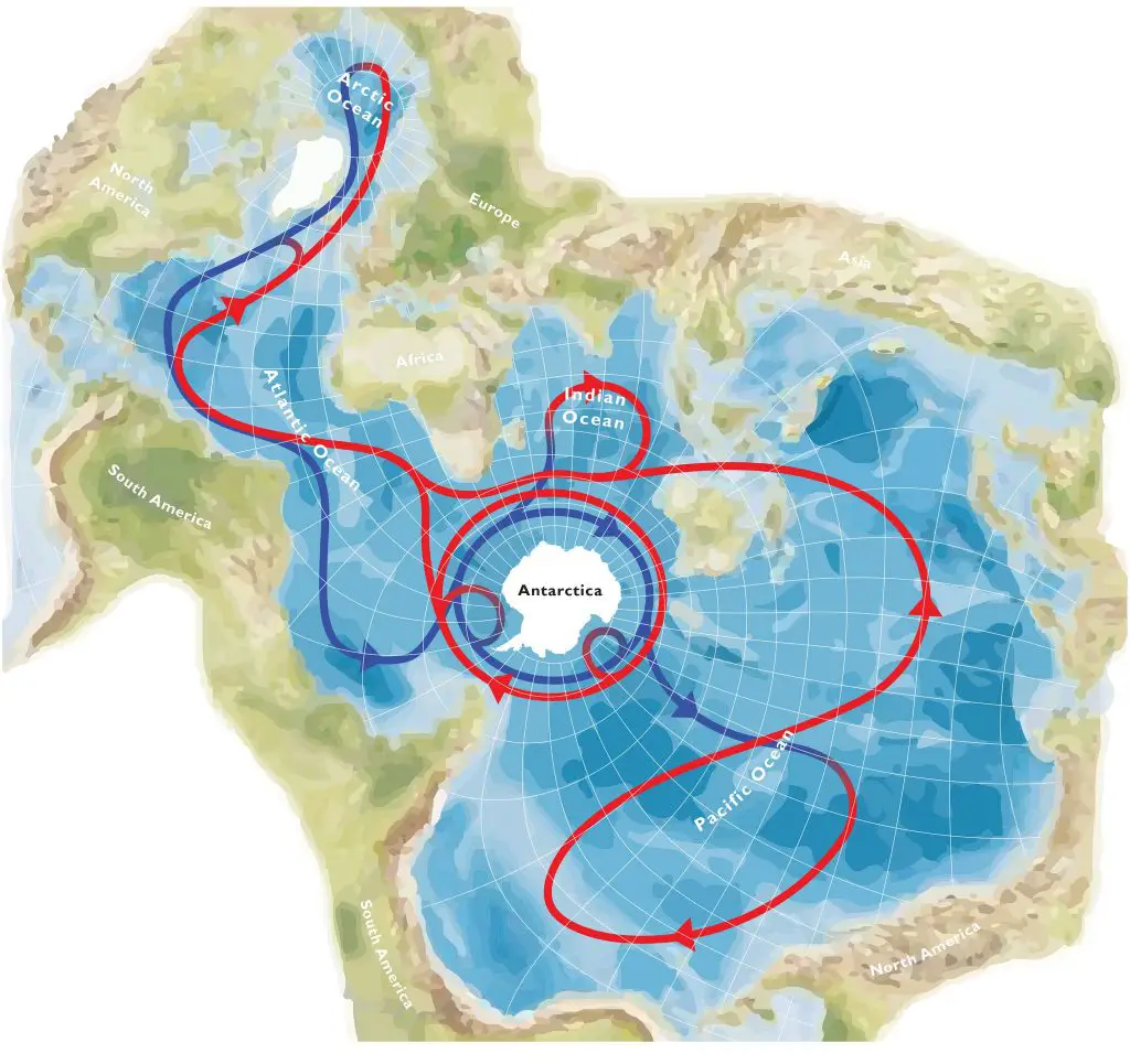 Global ocean circulation on a Spilhaus projection