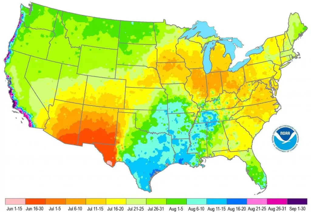 When do your summer heat and sunlight peak? - Vivid Maps