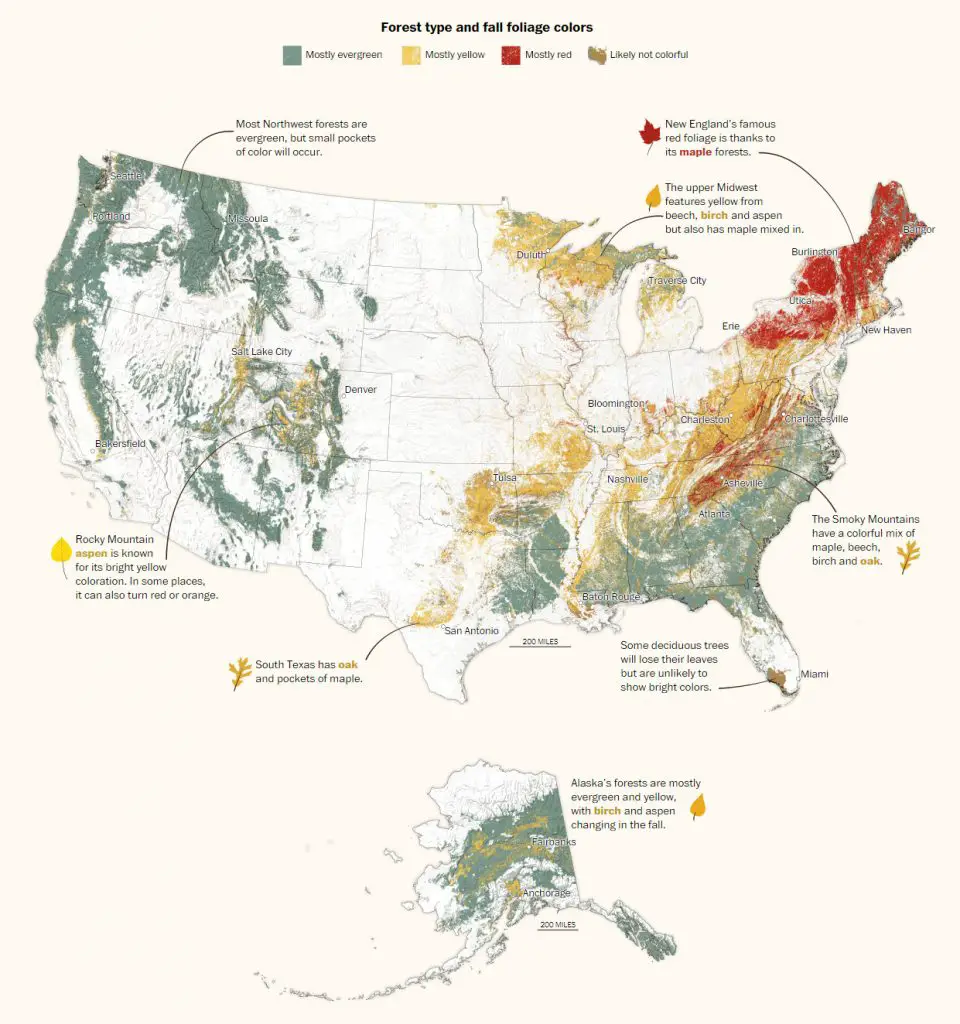 U.S. fall foliage colors mapped