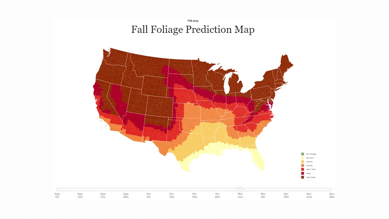 Autumn foliage colors mapped - Vivid Maps