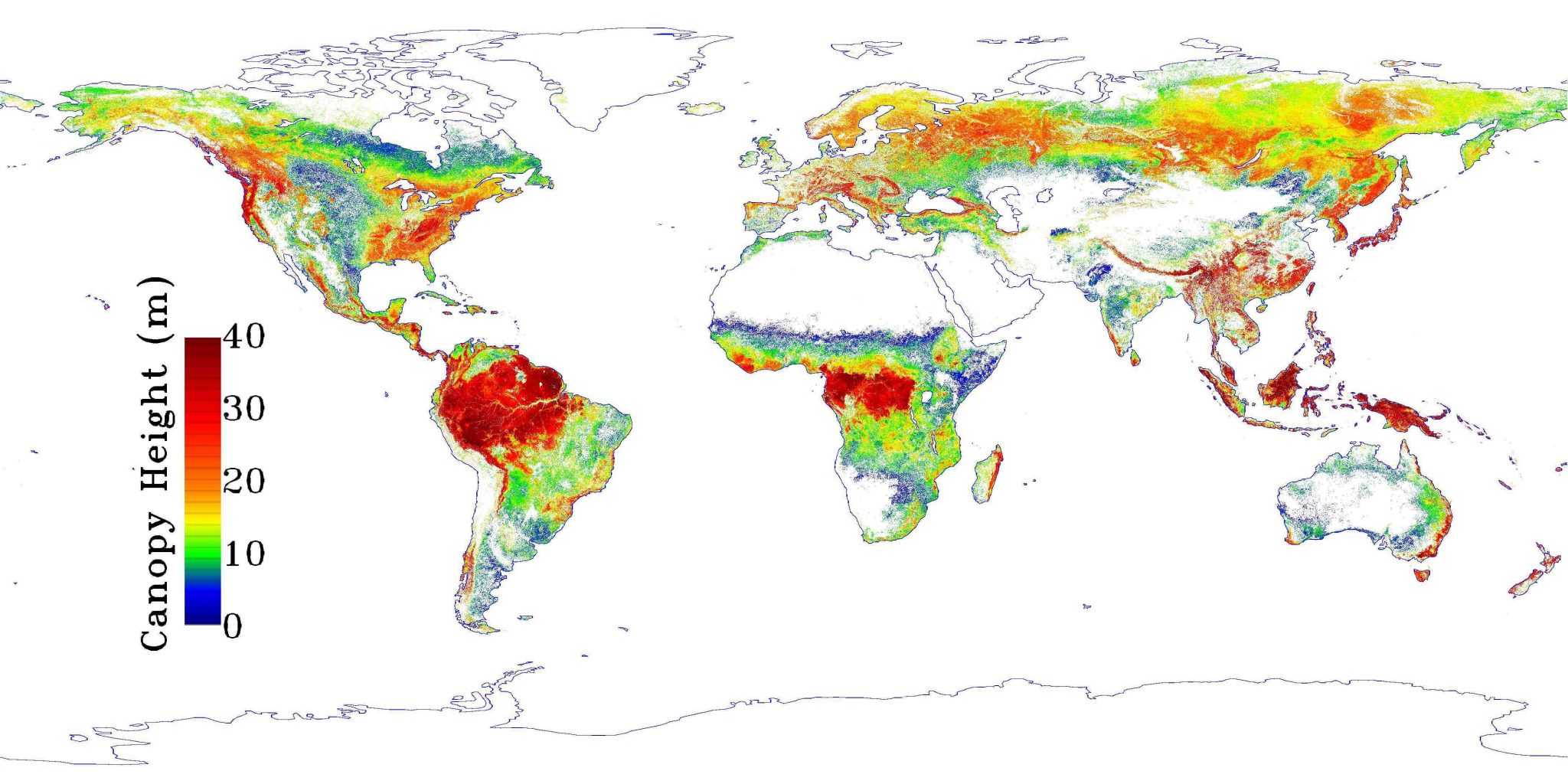 Tree Height Maps - Vivid Maps