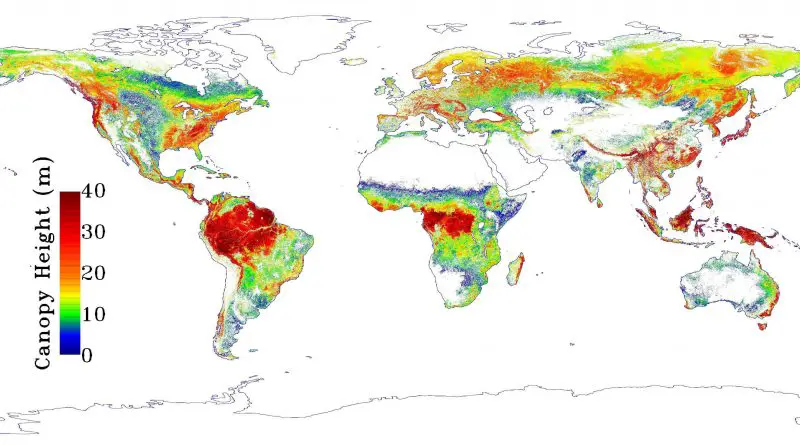 NASA Tree Height Map