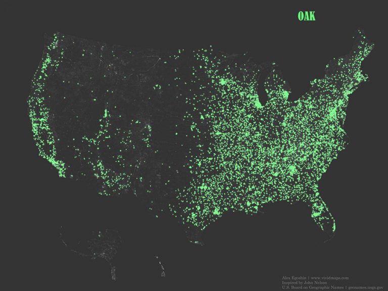 Native Oak Tree Ranges in the United States Vivid Maps