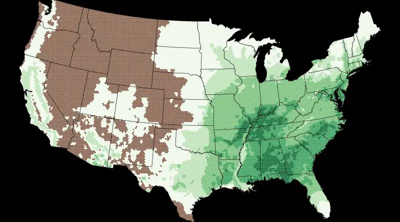 Oaks in the United States