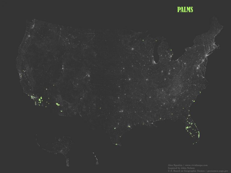 Where palm trees are found in the United States Vivid Maps