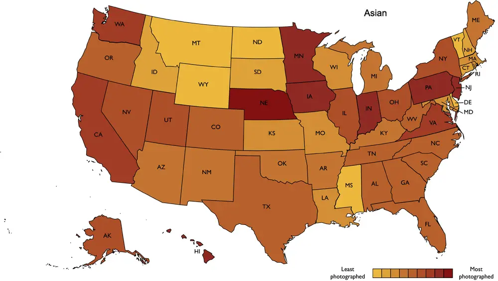 Asian Food in the U.S.