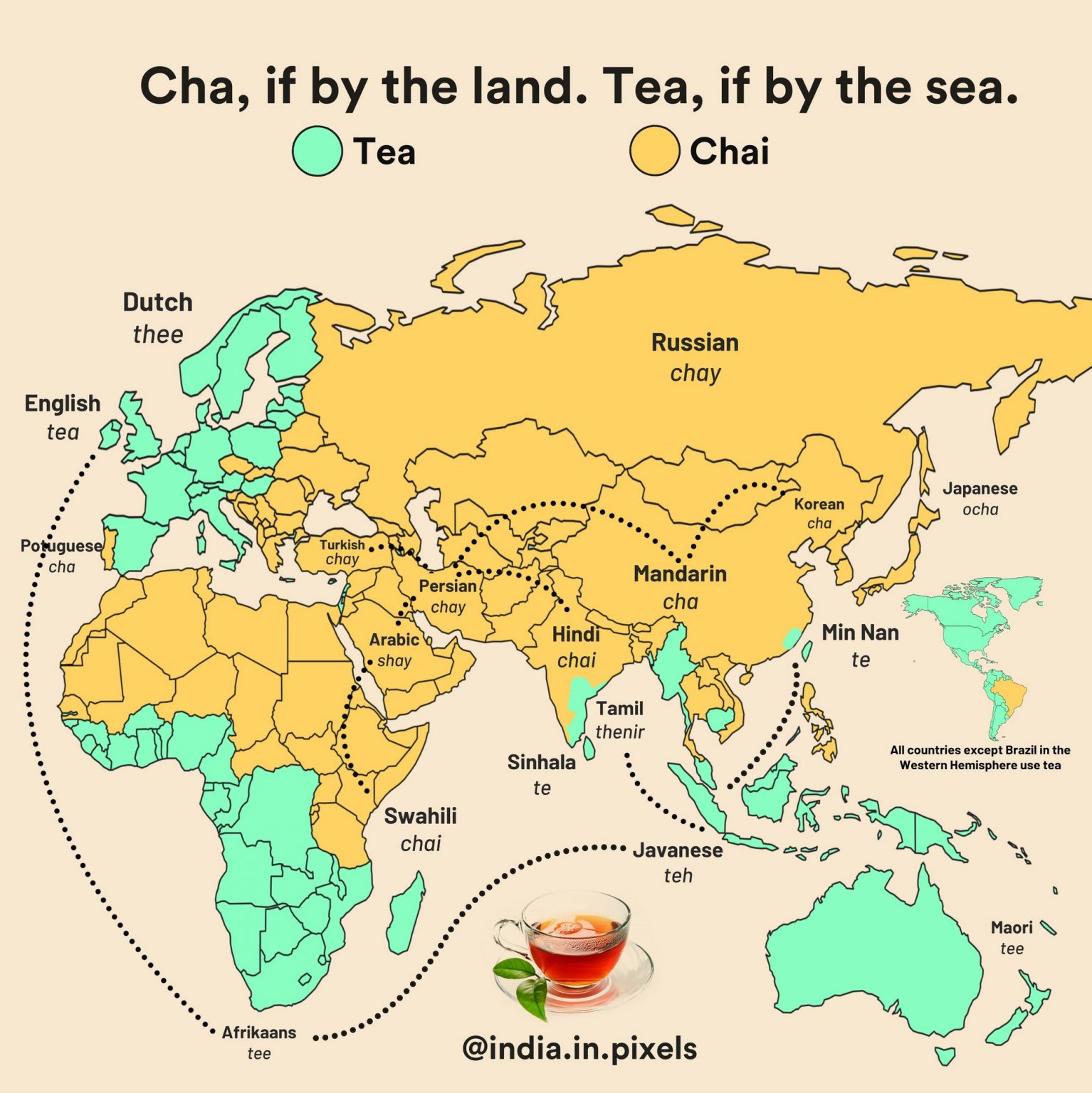 the-spread-of-the-word-for-tea-vivid-maps