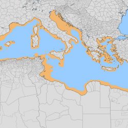 The Atlantropa project