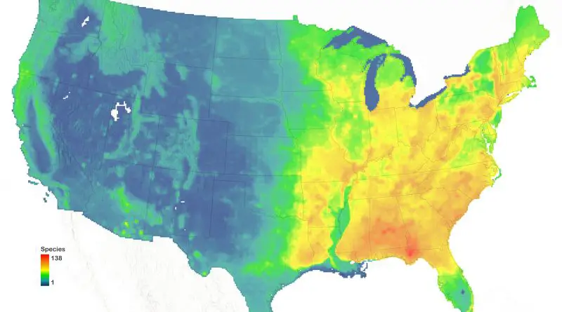 Atlas of American trees species