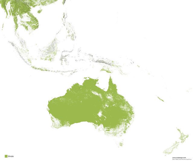 The World's Forests Mapped - Vivid Maps