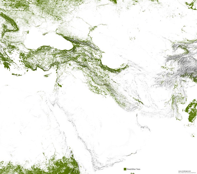Mixed forests
