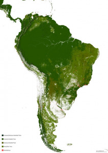 The World's Forests Mapped - Vivid Maps