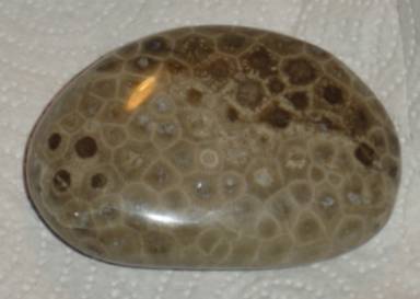 Petoskey stone