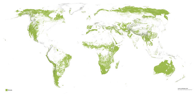 shrubs - Vivid Maps