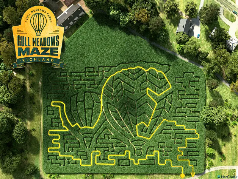 Corn Maze Map