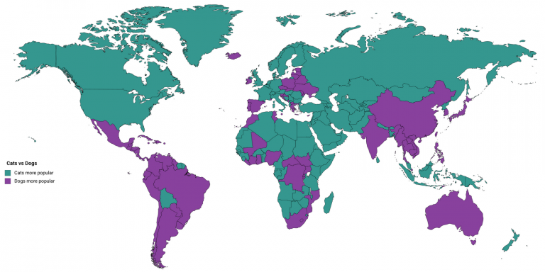 where-cats-are-more-popular-than-dogs-vivid-maps