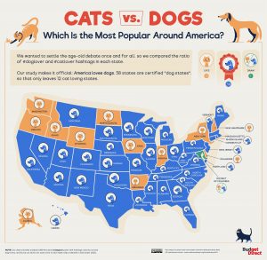 Every Country's Preference For Cats or Dog Mapped - Vivid Maps