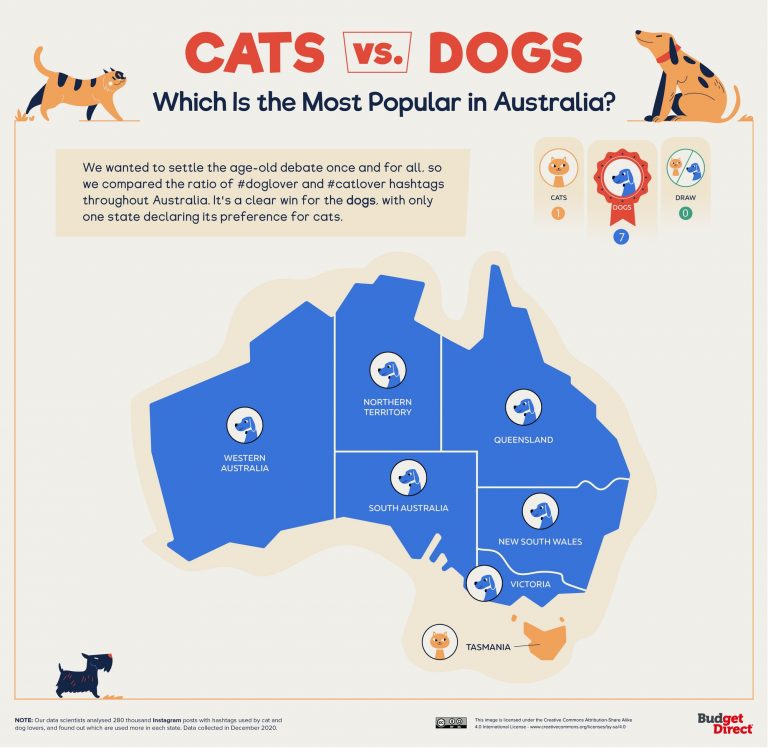 Every Country's Preference For Cats or Dog Mapped Vivid Maps