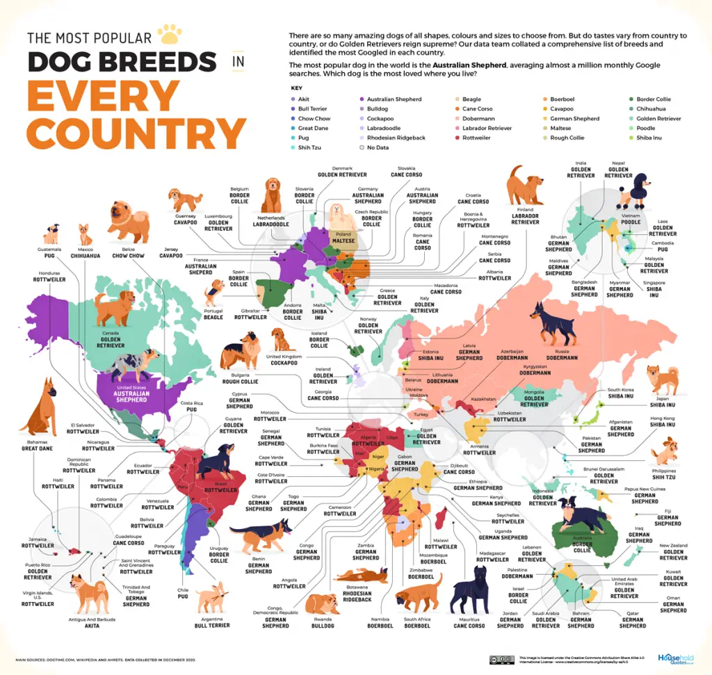 Map of the most popular dog breeds in every country