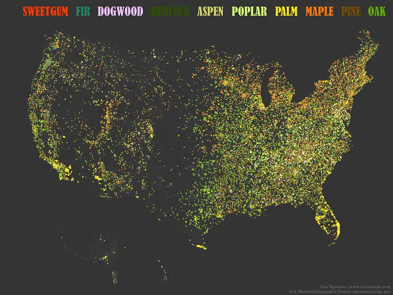 US Toponymic Map